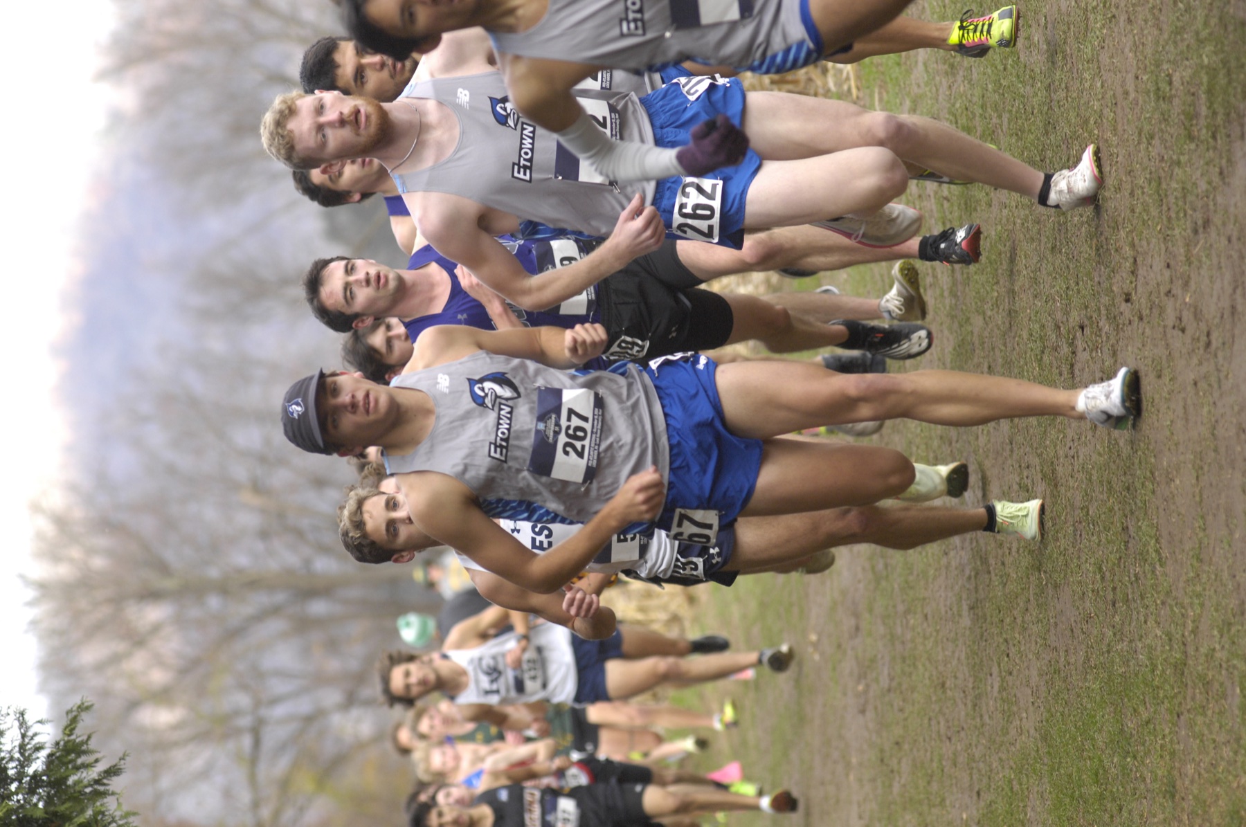 Runners competing on a cross-country course